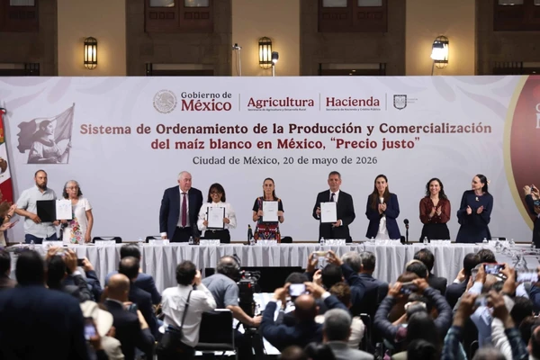 Gobierno de México priorizará a productores mexicanos de maíz sobre extranjeros