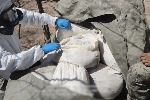 Desmantelan tres narcolaboratorios en Sinaloa: golpe al crimen es de 923 millones de pesos