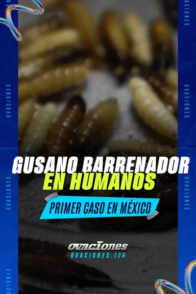Gusano barrenador: M&eacute;xico registra su primer caso en humanos