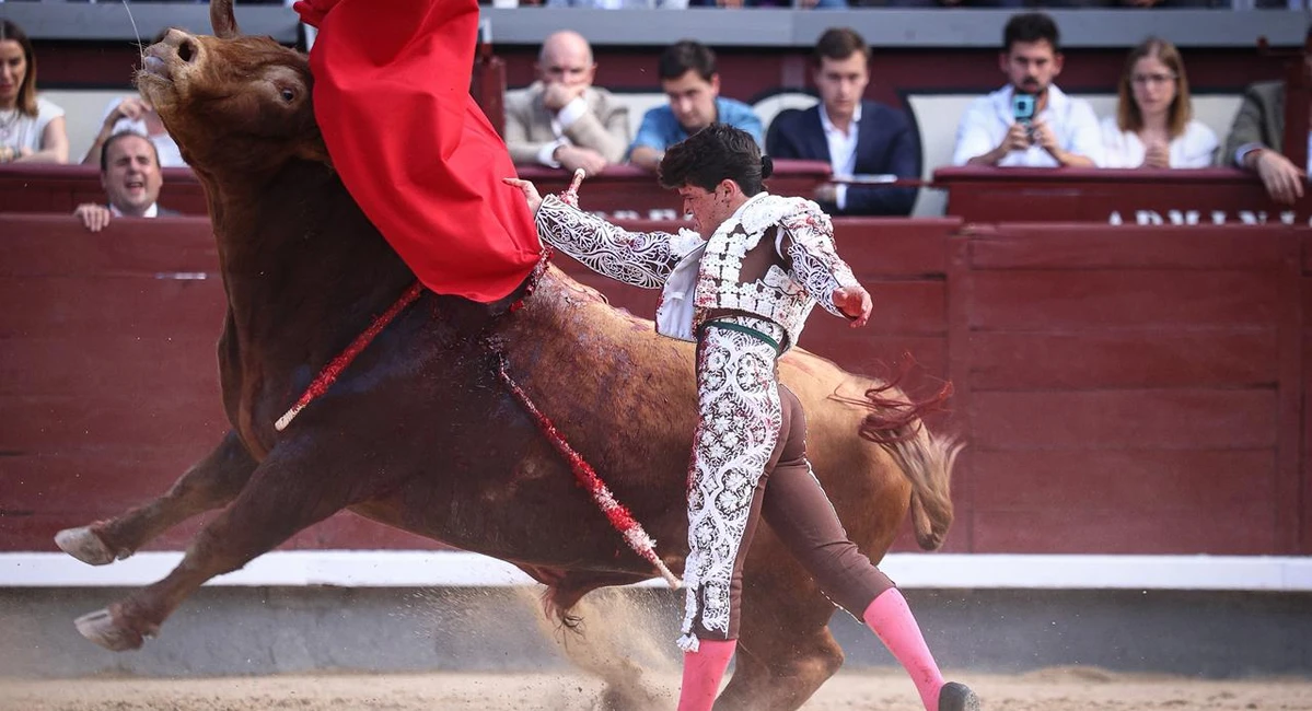 Fonseca y Jarocho sostienen una tarde exigente de Pedraza de Yeltes Fotos: Manolo Briones