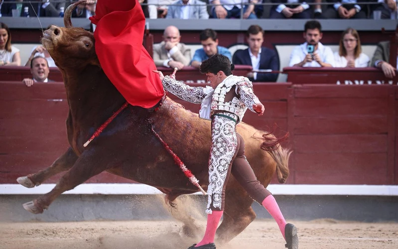 Fonseca y Jarocho sostienen una tarde exigente de Pedraza de Yeltes