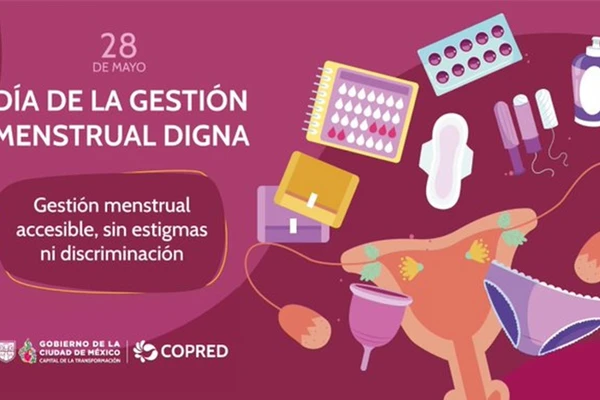 Aprueban elevar a rango constitucional la menstruación digna