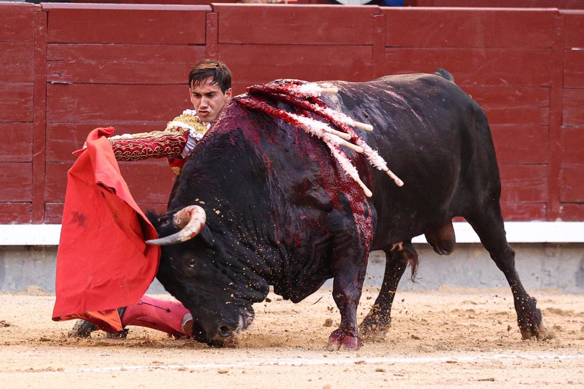 imagen-recuadro