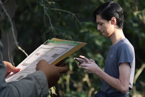 Registro de celular con tu CURP: ¿Cómo hacerlo en línea PASO A PASO?
