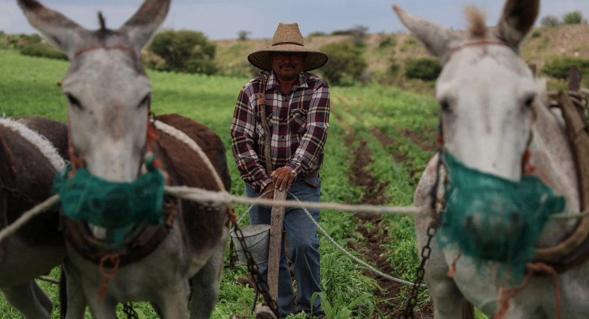 ¿Qué es la USTR y por qué propone nuevos aranceles a México? ¿Qué es la USTR y por qué propone nuevos aranceles a México?. Cuartoscuro.