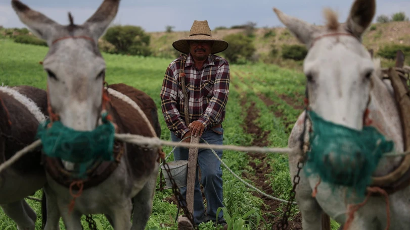 &iquest;Qu&eacute; es la USTR y por qu&eacute; propone nuevos aranceles a M&eacute;xico?. Cuartoscuro.