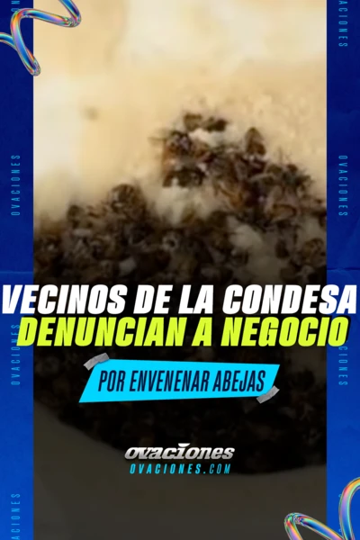 Vecinos de la Condesa denuncian a negocio por envenenar abejas