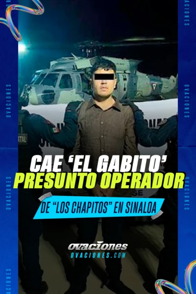 Cae El Gabito presunto operador de Los Chapitos en Sinaloa