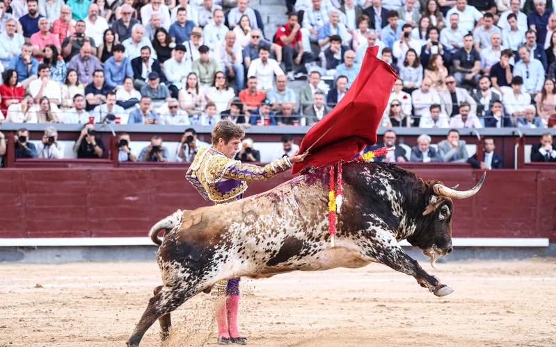 V&iacute;ctor Hern&aacute;ndez desaf&iacute;a al destino