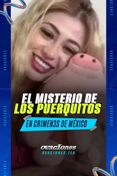 El misterio de los puerquitos en cr&iacute;menes de M&eacute;xico