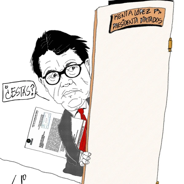 No a la reforma en elecciones