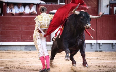Borja Jim&eacute;nez sostiene una tarde que el toro no acompa&ntilde;&oacute;