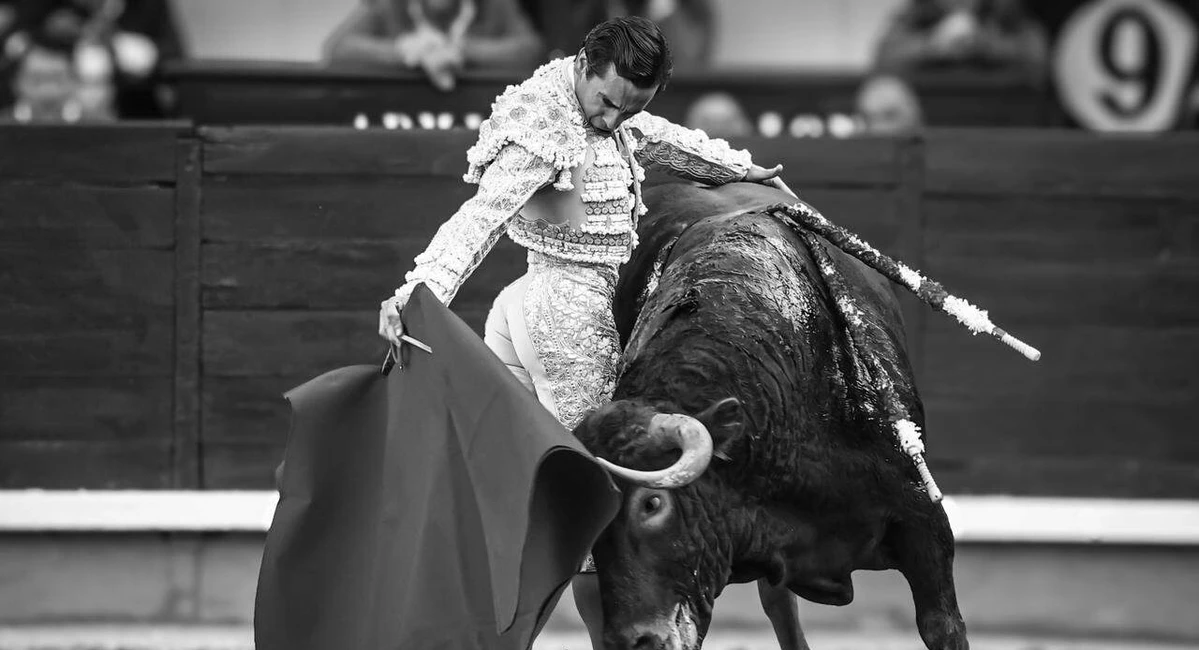 Talavante lidera el palmarés de San Isidro en una feria que confirmó a Madrid como juez supremo de la temporada Talavante logó imponer su personalidad en Las Ventas. Fotos: Manuel Briones