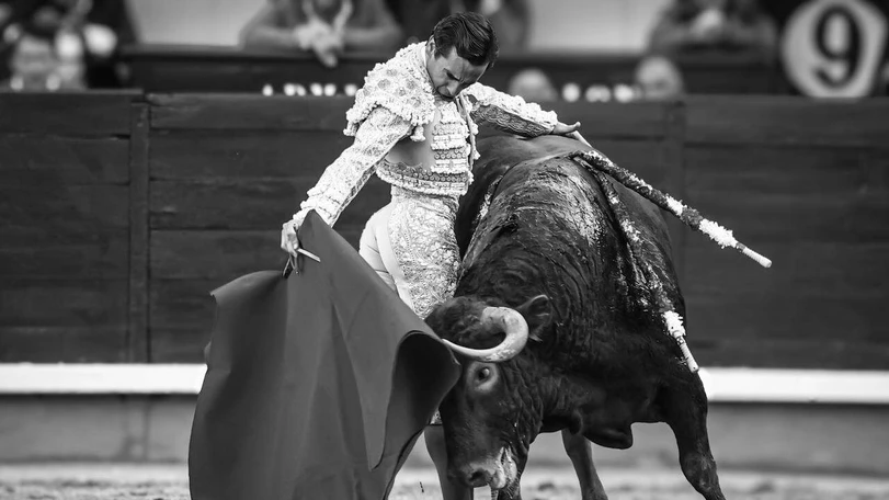 Talavante lidera el palmarés de San Isidro en una feria que confirmó a Madrid como juez supremo de la temporada Talavante logó imponer su personalidad en Las Ventas. Fotos: Manuel Briones