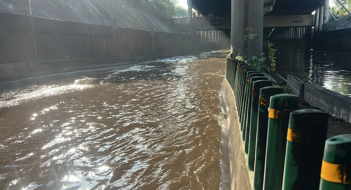 Lluvia tras la inauguración del Mundial deja caos vial, árboles caídos y más incidentes en la CDMX Fuerte diluvio sorprendió a la CDMX durante la tarde del jueves | Foto: especial