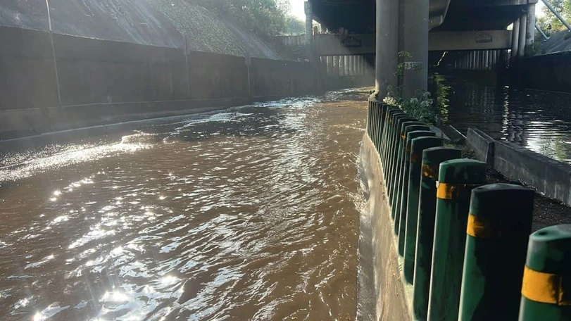 Lluvia tras la inauguración del Mundial deja caos vial, árboles caídos y más incidentes en la CDMX Fuerte diluvio sorprendió a la CDMX durante la tarde del jueves | Foto: especial