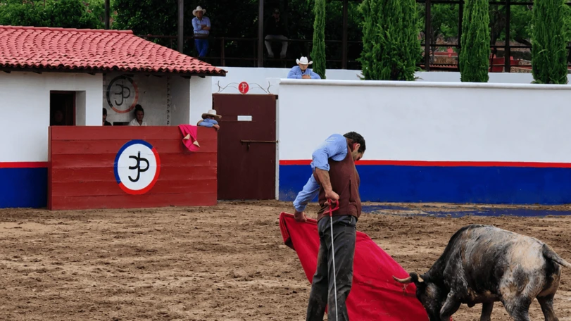 Juan Pablo Sánchez intensifica su preparación rumbo a Las Ventas Foto: Manuel Briones