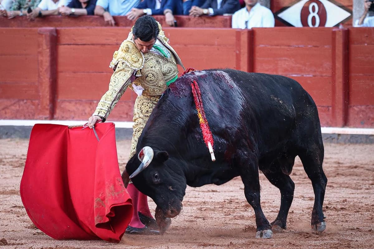 imagen-recuadro