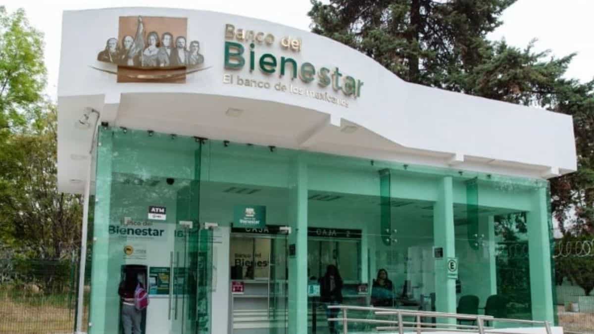 imagen-recuadro imagen-recuadro