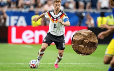 Serpiente sorprende a la Selecci&oacute;n de Alemania en entrenamiento