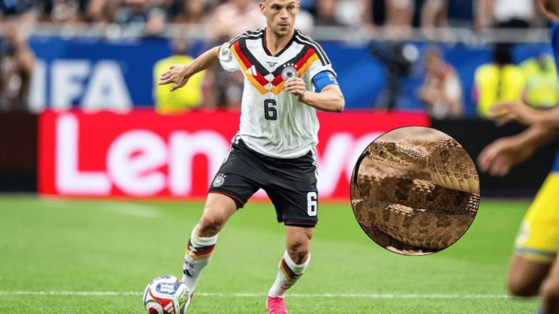 Serpiente sorprende a la Selección de Alemania en entrenamiento Joshua Kimmich es el capitán oficial de la Selección de Alemania en el Mundial 2026. Redes Sociales.
