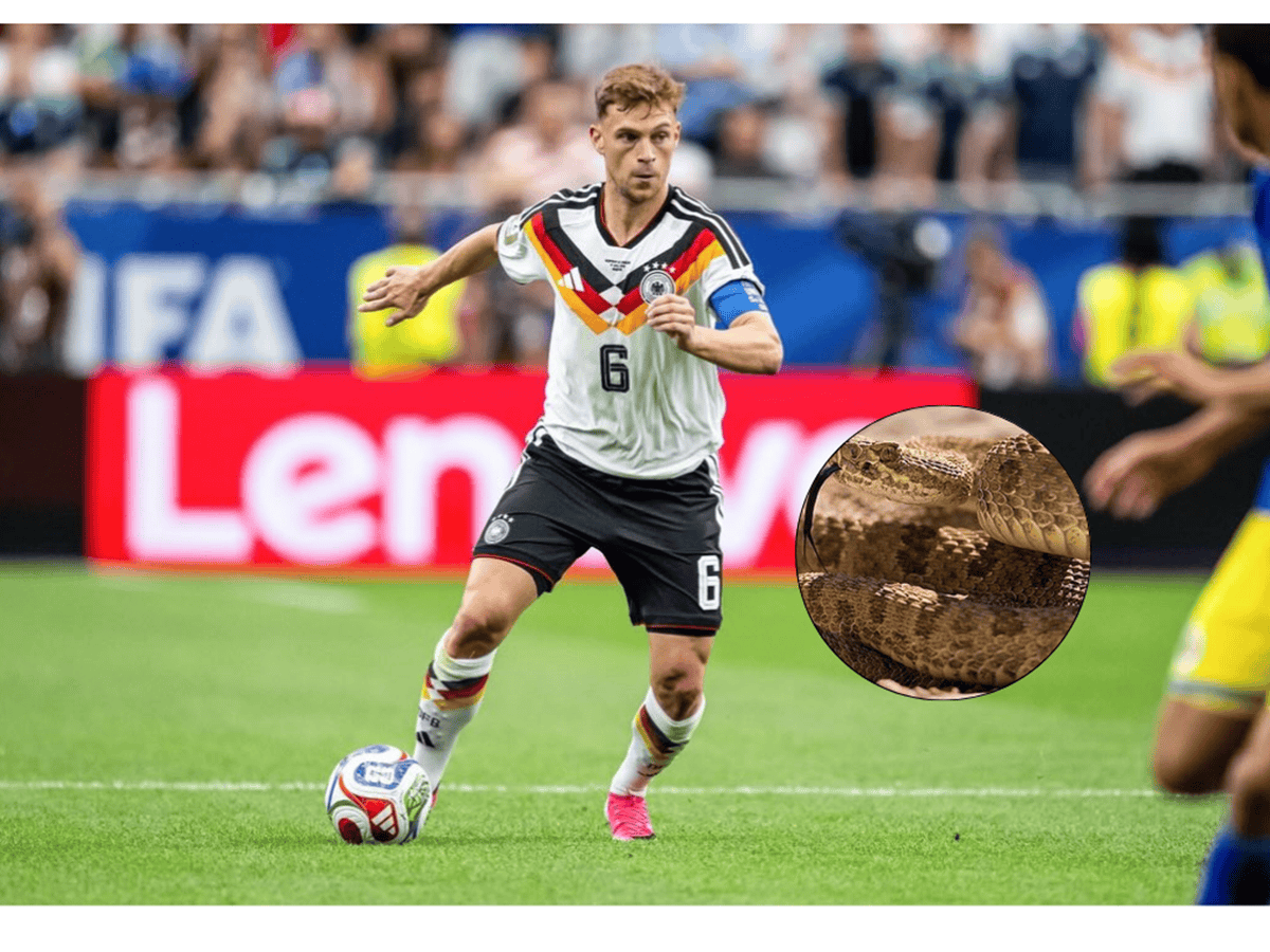 Serpiente sorprende a la Selección de Alemania en entrenamiento Joshua Kimmich es el capitán oficial de la Selección de Alemania en el Mundial 2026. Redes Sociales.