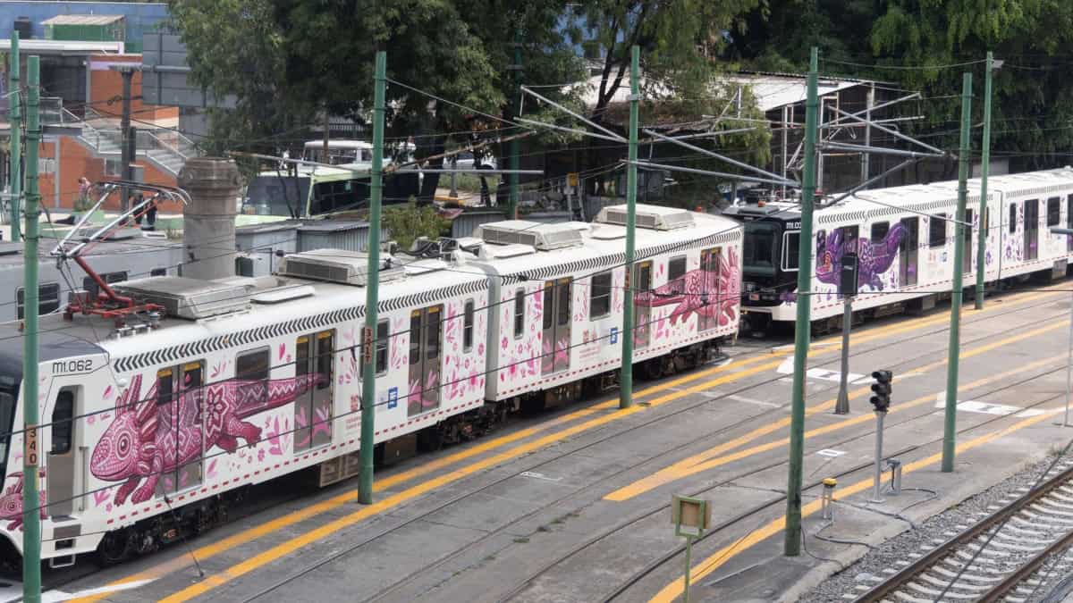Tren ligero suspende servicio por 1 hora en todas las estaciones Tren Ligero registró una falla en el suministro eléctrico y suspendió el servicio. Foto: Cuartoscuro