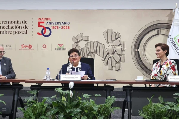 La justicia debe medirse por su capacidad para combatir la impunidad: Ernestina Godoy