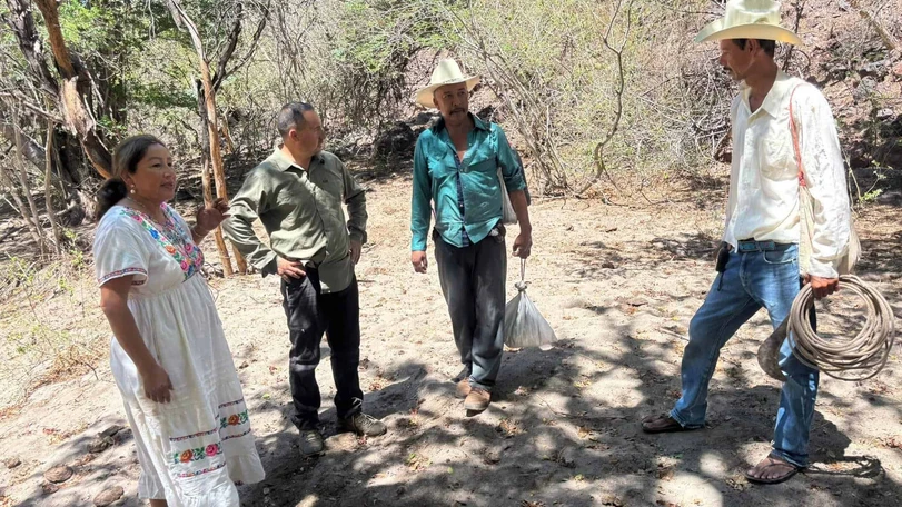 ¿Qué sabemos de los brigadistas atrapados en Sonora? Así se desarrolla el rescate en la sierra de Álamos Brigadistas varados en la comunidad Guarijía de Álamos. Foto: Redes Sociales.