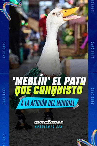 Merl&iacute;n el pato que conquist&oacute; a la afici&oacute;n del Mundial