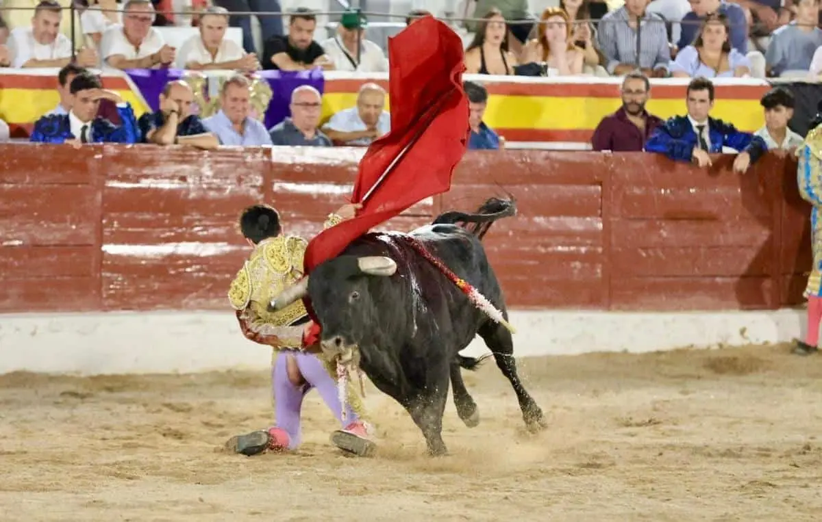 imagen-recuadro