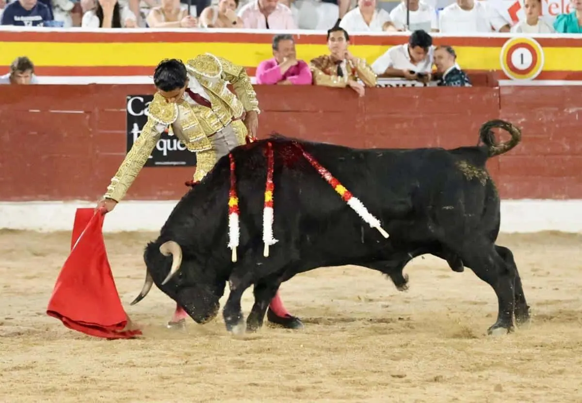 imagen-recuadro