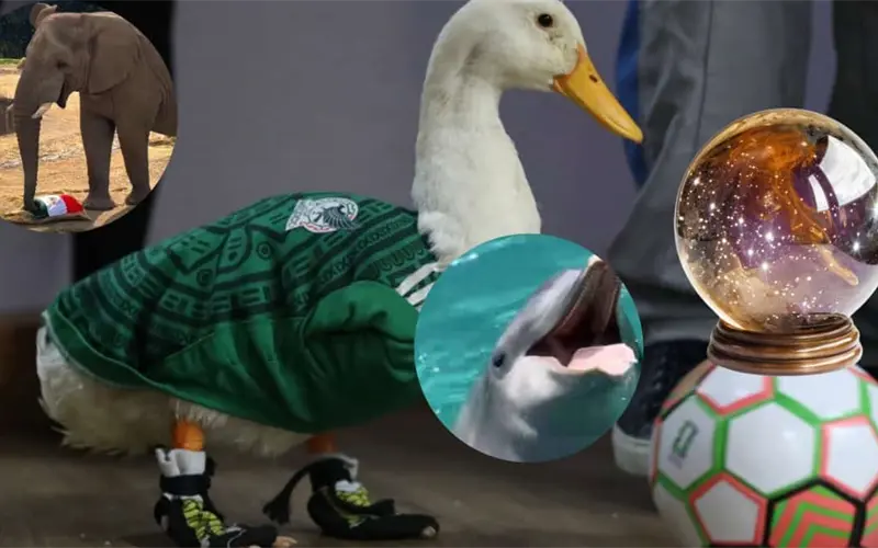 &iquest;Listos para la quiniela? Animales que predijeron el triunfo de M&eacute;xico