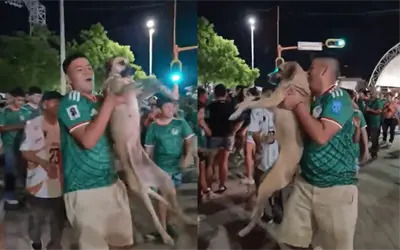 Encuentran a perrita en festejos mundialistas tras un mes desaparecida