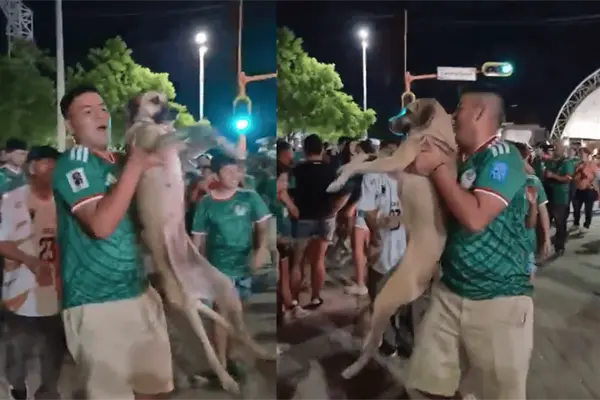 Encuentran a perrita en festejos mundialistas tras un mes desaparecida