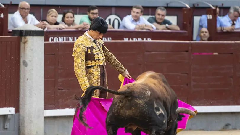 En Las Ventas, El Mene, logr&oacute; una gran y efectiva estocada puso en su mano la oreja. Foto: NTR Toros