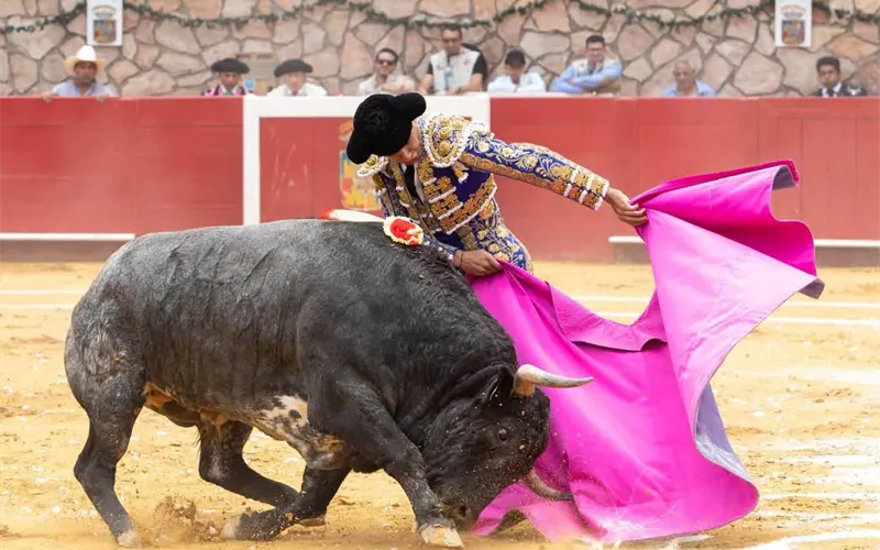 Escribano sobresale en los 500 a&ntilde;os de la tauromaquia en M&eacute;xico en Cinco Villas