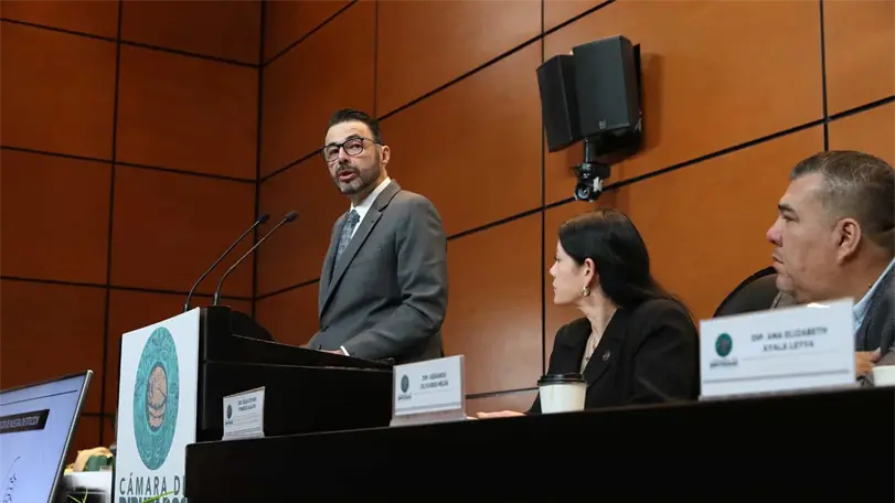 El auditor superior de la Federaci&oacute;n acudi&oacute; a la C&aacute;mara de Diputados. Foto: C&aacute;mara de Diputados.