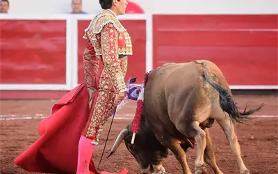 Presencia mexicana en "C&eacute;nate Las Ventas"