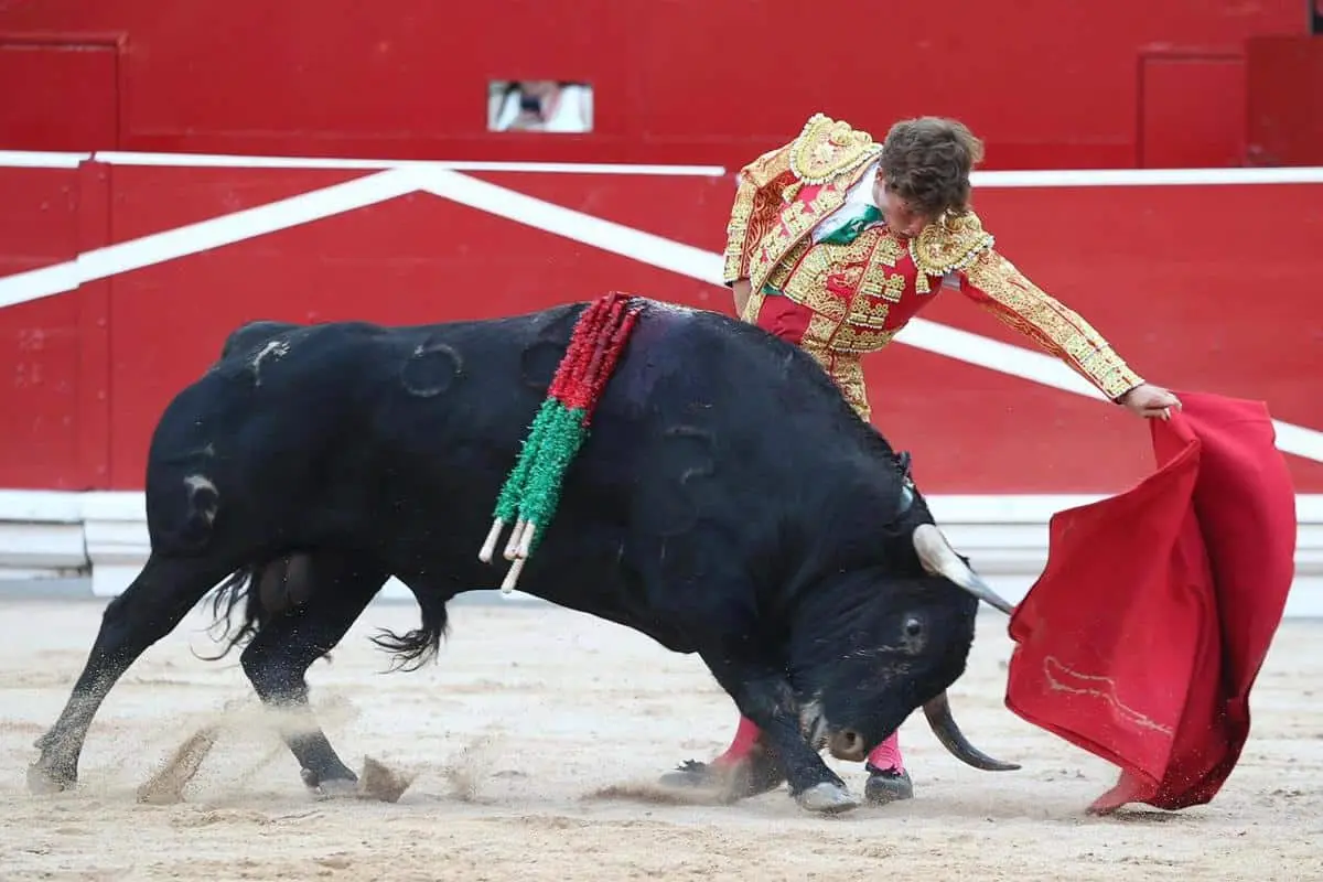 imagen-recuadro