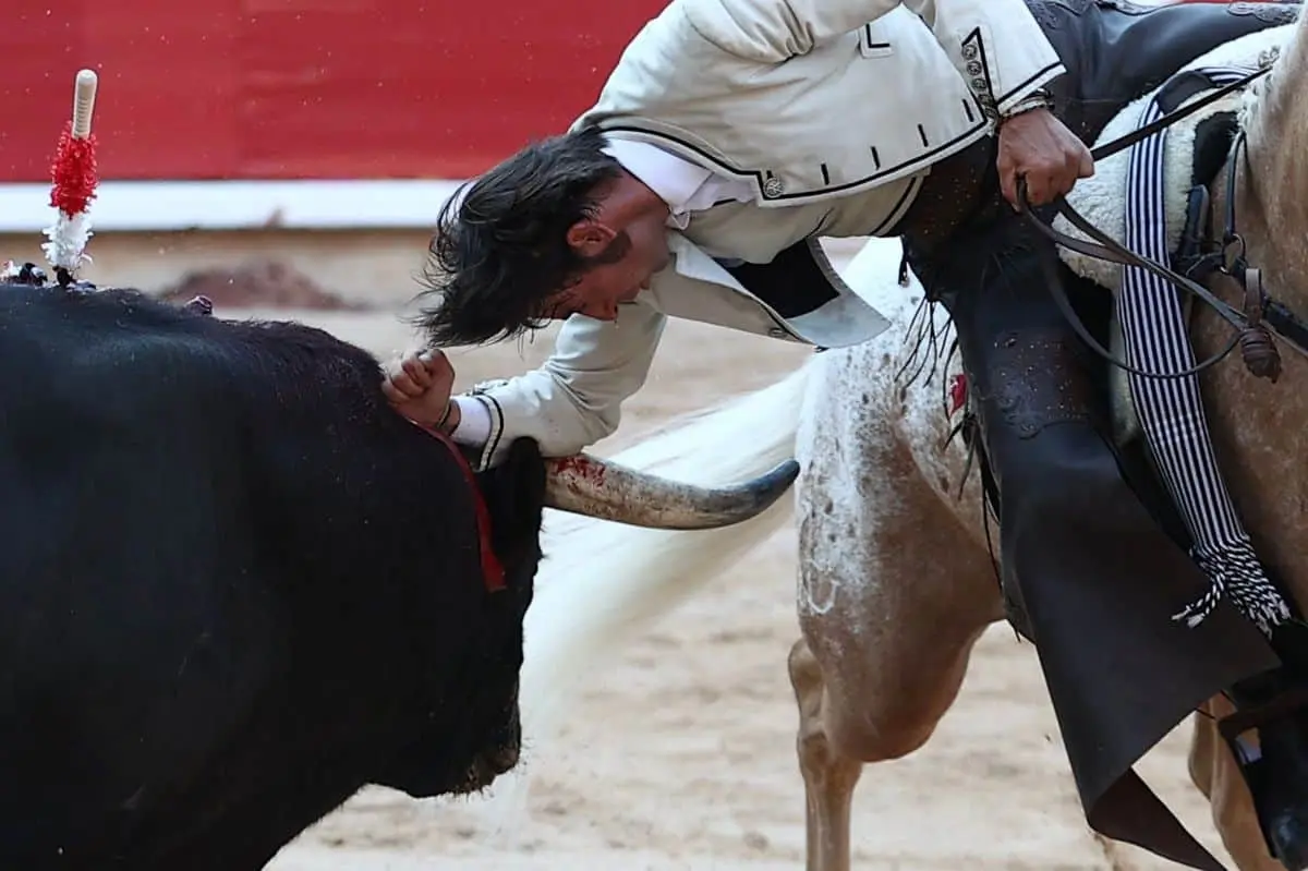 imagen-recuadro