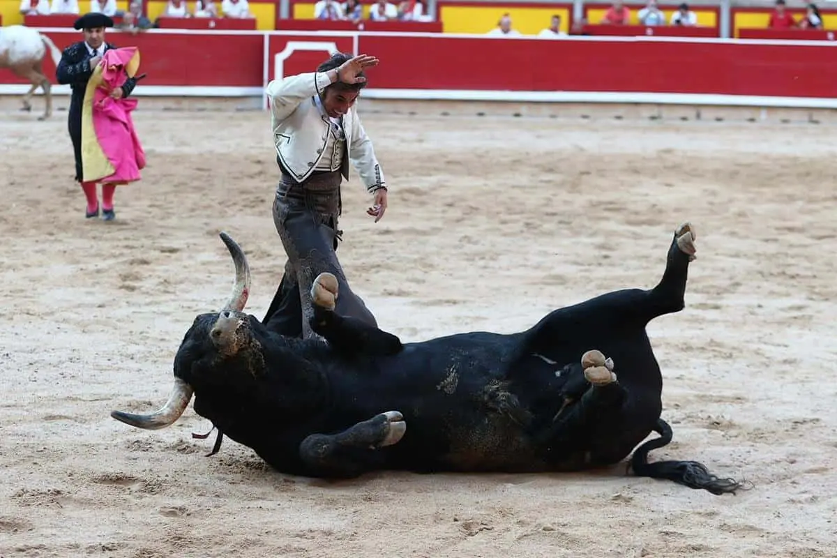 imagen-recuadro