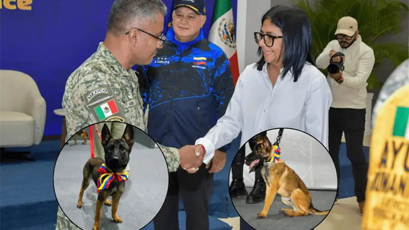 Venezuela entrega perro de rescate. Foto: Cortes&iacute;a.