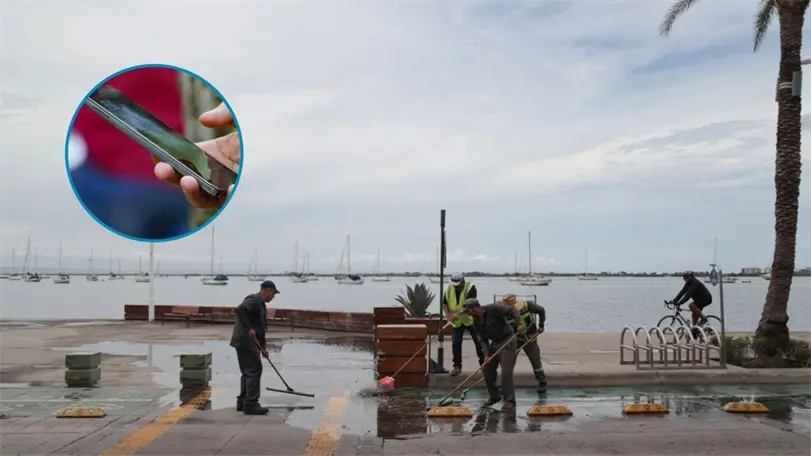 El gobierno federal alista un sistema nacional de alertas por telefon&iacute;a celular para reforzar la prevenci&oacute;n ante huracanes y lluvias intensas. Foto: Presidencia
