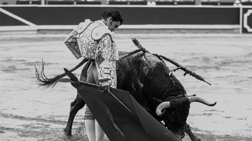 Morante deja destellos en una corrida de Álvaro Núñez que volvió a quedarse a medias Foto: Manolo Briones.