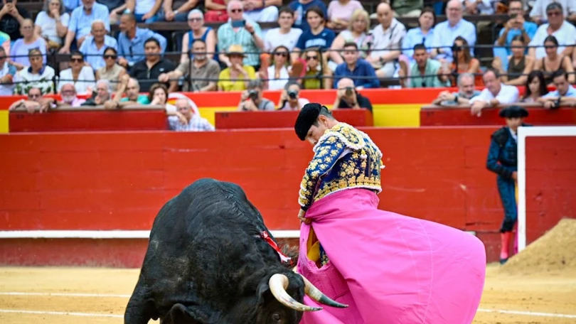 Foto: NTR Toros