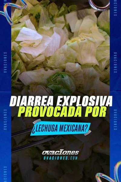 Diarrea explosiva provocada por &iquest;lechuga mexicana?
