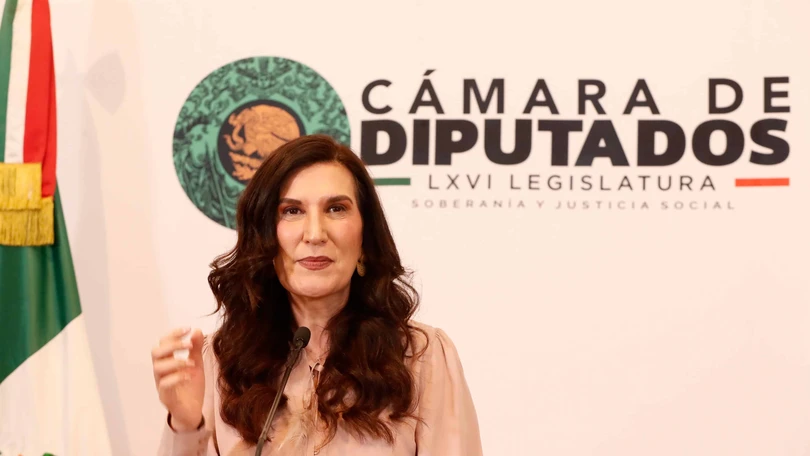 Partidos deben cerrar el paso al narco en las candidaturas de 2027: López Rabadán Foto: cortesía Cámara de Diputados