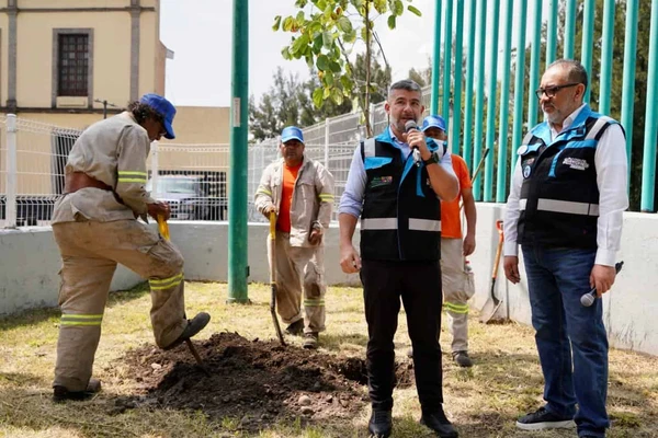 Miguel Hidalgo plantará 600 árboles tras perder 200 por las lluvias