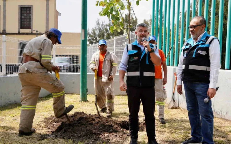 Miguel Hidalgo plantar&aacute; 600 &aacute;rboles tras perder 200 por las lluvias